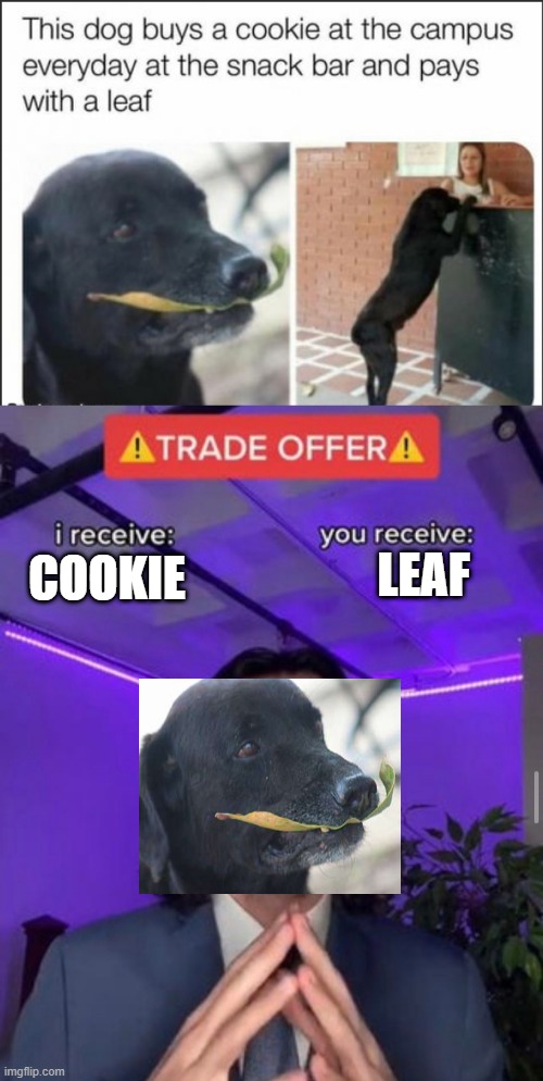 LEAF; COOKIE | image tagged in i receive you receive | made w/ Imgflip meme maker