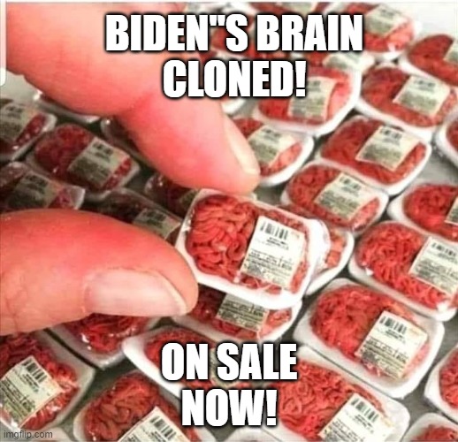 Biden Brains | BIDEN"S BRAIN
CLONED! ON SALE
NOW! | image tagged in meat | made w/ Imgflip meme maker