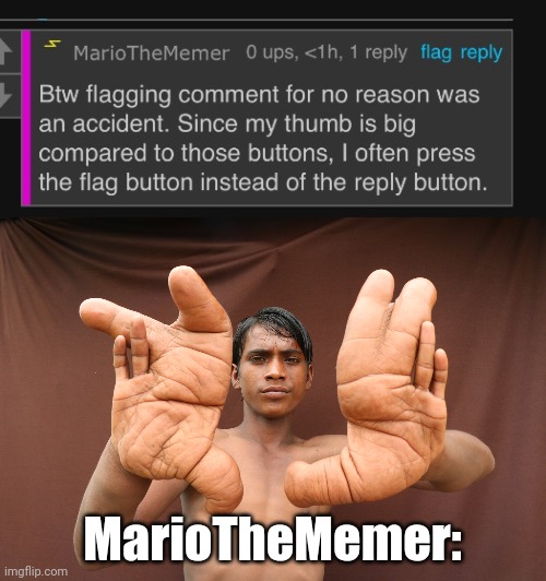 MarioTheMemer: | made w/ Imgflip meme maker