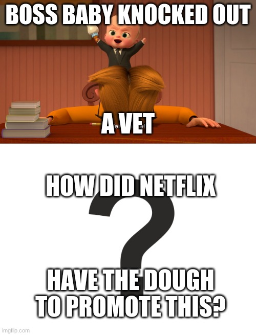 boss baby is 18 | BOSS BABY KNOCKED OUT; A VET; HOW DID NETFLIX; HAVE THE DOUGH TO PROMOTE THIS? | image tagged in funny | made w/ Imgflip meme maker