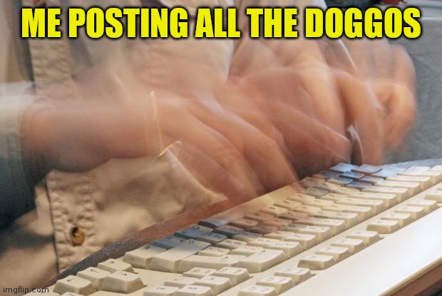 Typing Fast | ME POSTING ALL THE DOGGOS | image tagged in typing fast | made w/ Imgflip meme maker