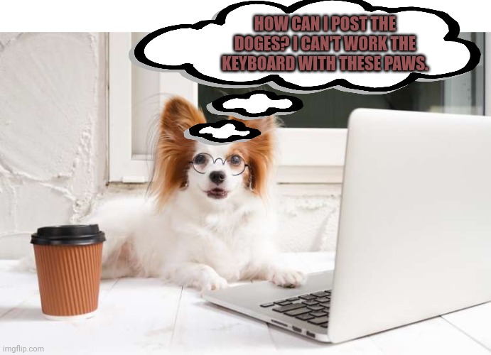 Doggo week problems | HOW CAN I POST THE DOGES? I CAN'T WORK THE KEYBOARD WITH THESE PAWS. | image tagged in dog confused on computer,doggo week,cute puppies,post this dog | made w/ Imgflip meme maker