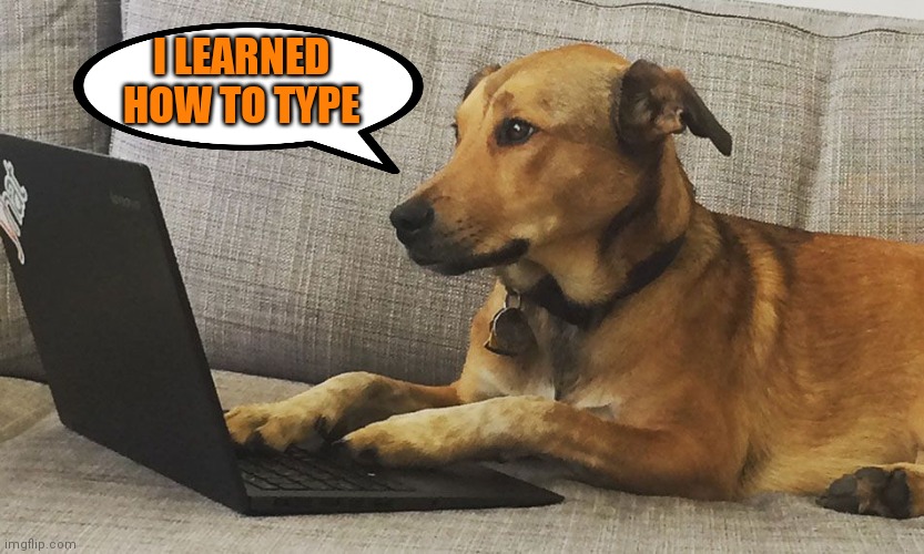 typing dog at computer | I LEARNED HOW TO TYPE | image tagged in typing dog at computer | made w/ Imgflip meme maker