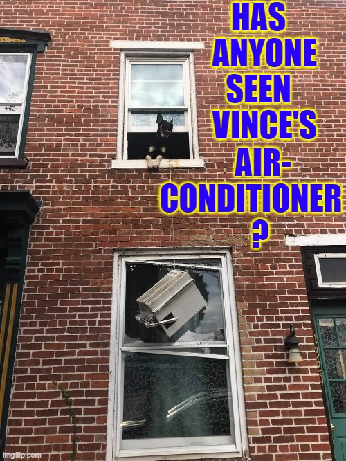 On the bright side, it's almost Fall. Get it... almost Fall. I need a life. | HAS
  ANYONE
SEEN
  VINCE'S; AIR-
CONDITIONER
   ? | image tagged in vince vance,air conditioner,dogs,window,unit,funny animal memes | made w/ Imgflip meme maker