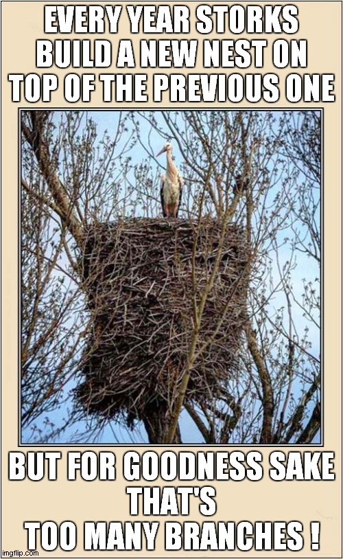 That Poor Tree ! | EVERY YEAR STORKS BUILD A NEW NEST ON TOP OF THE PREVIOUS ONE; BUT FOR GOODNESS SAKE
THAT'S TOO MANY BRANCHES ! | image tagged in stork,nest,too many | made w/ Imgflip meme maker