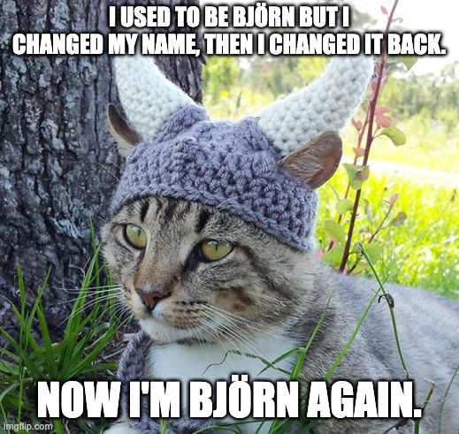 Björn again | I USED TO BE BJÖRN BUT I CHANGED MY NAME, THEN I CHANGED IT BACK. NOW I'M BJÖRN AGAIN. | image tagged in viking cat crochete hat | made w/ Imgflip meme maker
