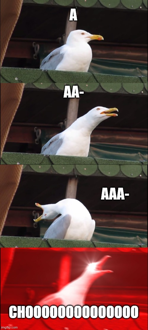sneeze sneeze | A; AA-; AAA-; CHOOOOOOOOOOOOOO | image tagged in memes,inhaling seagull | made w/ Imgflip meme maker