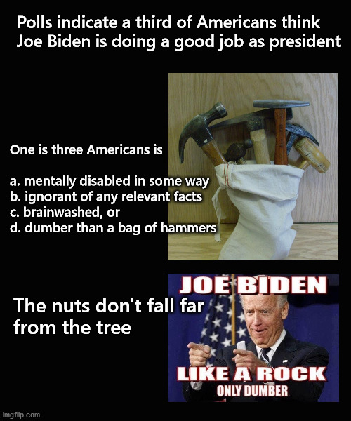Polls indicate a third of Americans think  Joe Biden is doing a good job as president | Polls indicate a third of Americans think 
Joe Biden is doing a good job as president; One is three Americans is 
 
a. mentally disabled in some way
b. ignorant of any relevant facts
c. brainwashed, or
d. dumber than a bag of hammers; The nuts don't fall far 
from the tree | image tagged in joe biden,polls | made w/ Imgflip meme maker