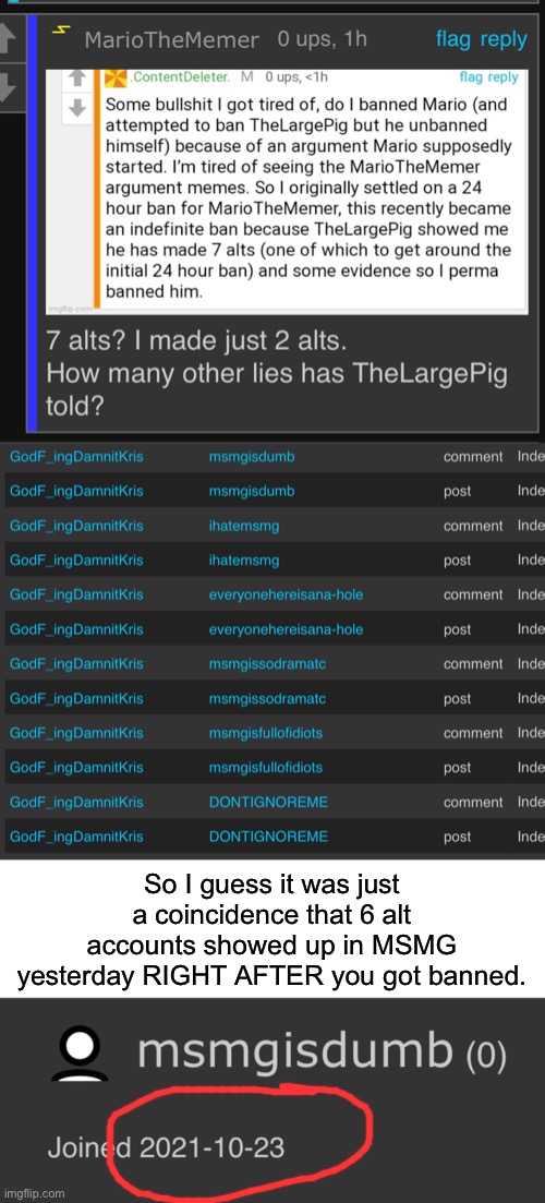 So I guess it was just a coincidence that 6 alt accounts showed up in MSMG yesterday RIGHT AFTER you got banned. | image tagged in blank white template | made w/ Imgflip meme maker
