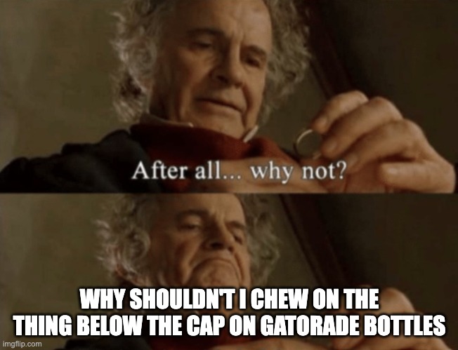 After all.. why not? | WHY SHOULDN'T I CHEW ON THE THING BELOW THE CAP ON GATORADE BOTTLES | image tagged in after all why not | made w/ Imgflip meme maker