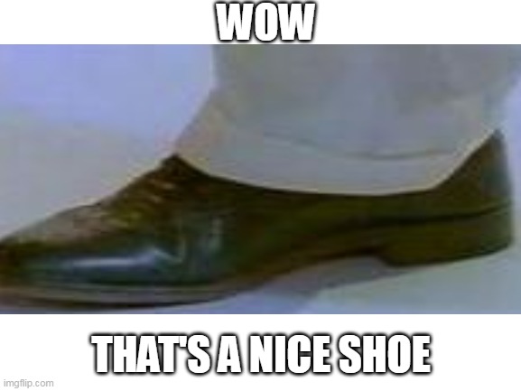 Nice shoe man! | WOW; THAT'S A NICE SHOE | image tagged in shoes,nice,rick astley | made w/ Imgflip meme maker
