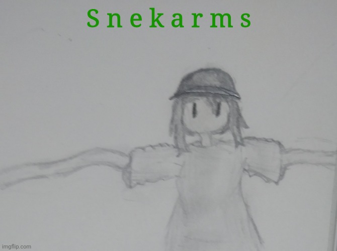 S n e k a r m s | made w/ Imgflip meme maker