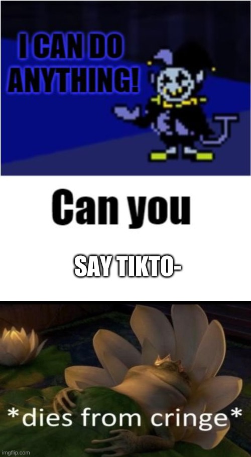 I Can Do Anything | SAY TIKTO- | image tagged in i can do anything | made w/ Imgflip meme maker