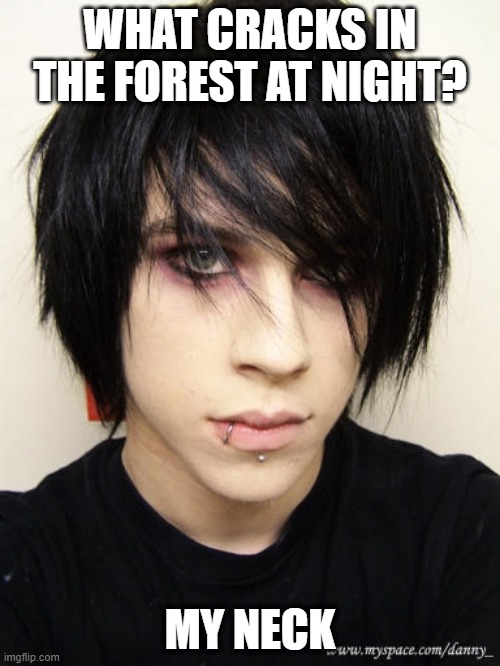 He's Hanging Out | WHAT CRACKS IN THE FOREST AT NIGHT? MY NECK | image tagged in emo kid | made w/ Imgflip meme maker