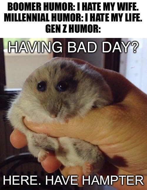 Hampter. | H A M P T E R | image tagged in hampter,hamster,mice,funny,gen z humor,yes | made w/ Imgflip meme maker