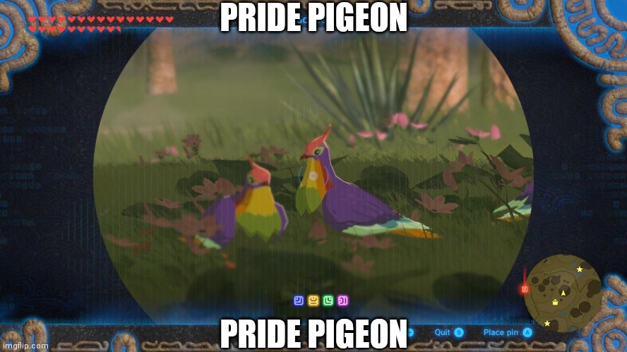 Pride pigeon | PRIDE PIGEON; PRIDE PIGEON | made w/ Imgflip meme maker