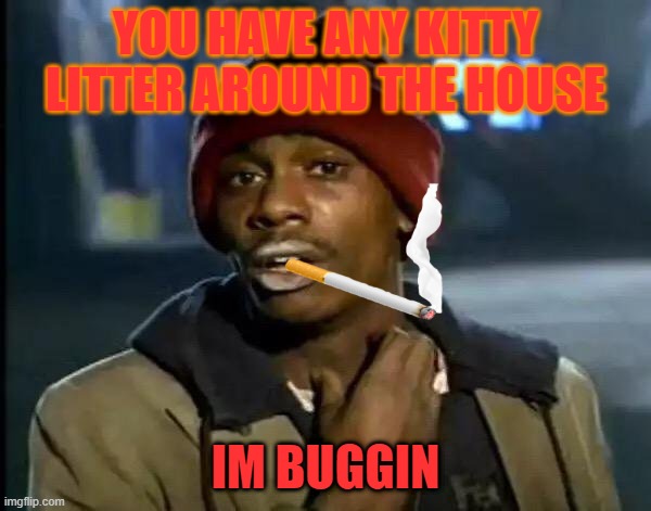 Y'all Got Any More Of That | YOU HAVE ANY KITTY LITTER AROUND THE HOUSE; IM BUGGIN | image tagged in memes,y'all got any more of that | made w/ Imgflip meme maker
