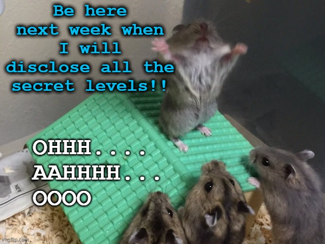 Hamster King of the Mountain | Be here next week when I will disclose all the secret levels!! OHHH....
AAHHHH...
OOOO | image tagged in hamster king of the mountain | made w/ Imgflip meme maker