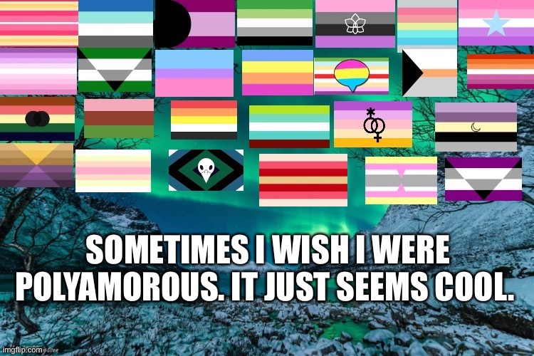 Northern Lights Announcement | SOMETIMES I WISH I WERE POLYAMOROUS. IT JUST SEEMS COOL. | image tagged in northern lights announcement | made w/ Imgflip meme maker