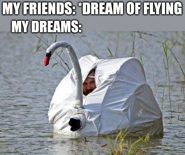MY FRIENDS: *DREAM OF FLYING; MY DREAMS: | image tagged in funny memes | made w/ Imgflip meme maker