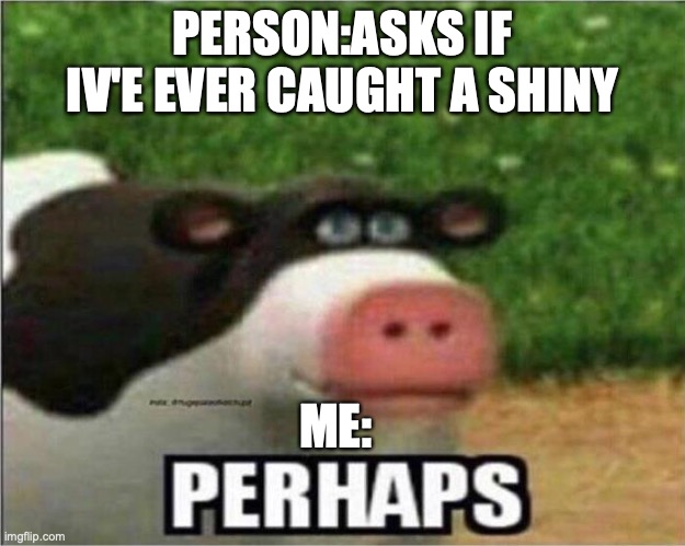 And by perhaps, I mean no | PERSON:ASKS IF IV'E EVER CAUGHT A SHINY; ME: | image tagged in perhaps cow | made w/ Imgflip meme maker