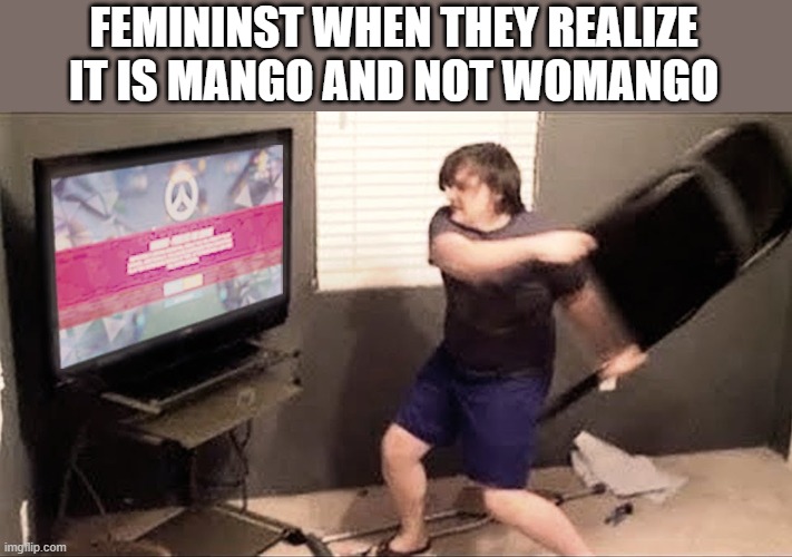 angry kiddo | FEMININST WHEN THEY REALIZE IT IS MANGO AND NOT WOMANGO | image tagged in angry kiddo | made w/ Imgflip meme maker