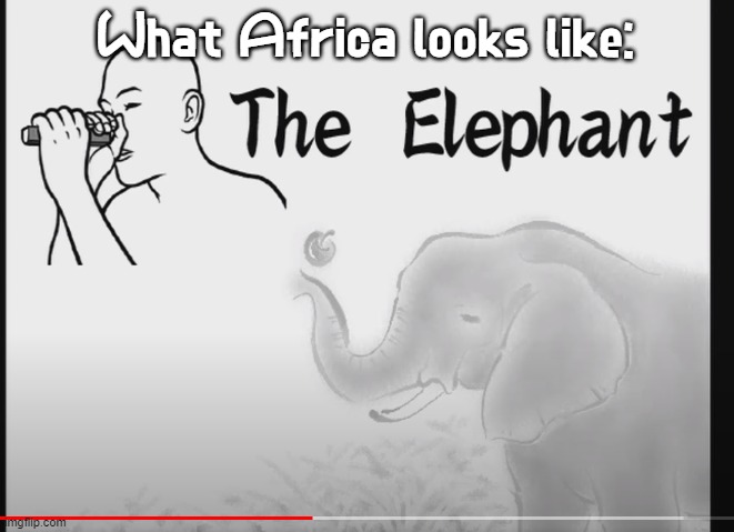 this is the most blursed form in the entire game | What Africa looks like: | image tagged in the elephant | made w/ Imgflip meme maker