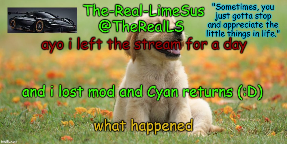 I leave for a DAY (PS: who deleted all the rules again?) (LS note: thanks Tricky)
(Tricky note: You're welcome!) | ayo i left the stream for a day; and i lost mod and Cyan returns (:D); what happened | image tagged in limesus doggo announcement temp v1 4 | made w/ Imgflip meme maker