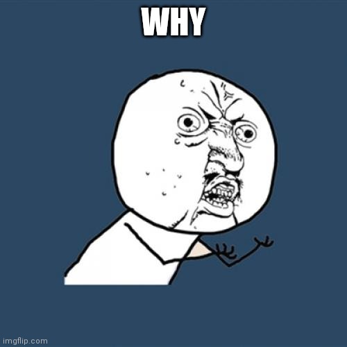 Y U No Meme | WHY | image tagged in memes,y u no | made w/ Imgflip meme maker