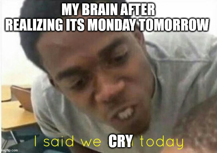 It is actually, its sunday | MY BRAIN AFTER REALIZING ITS MONDAY TOMORROW; CRY | image tagged in i said we ____ today | made w/ Imgflip meme maker