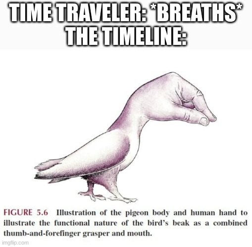 TIME TRAVELER: *BREATHS*
THE TIMELINE: | made w/ Imgflip meme maker