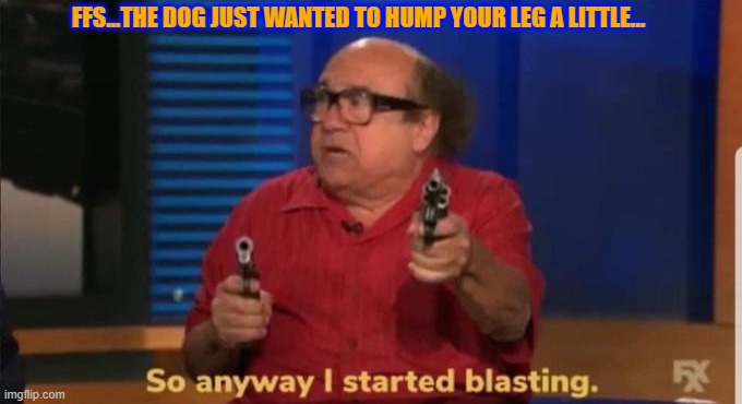 FFS | FFS...THE DOG JUST WANTED TO HUMP YOUR LEG A LITTLE... | image tagged in started blasting | made w/ Imgflip meme maker