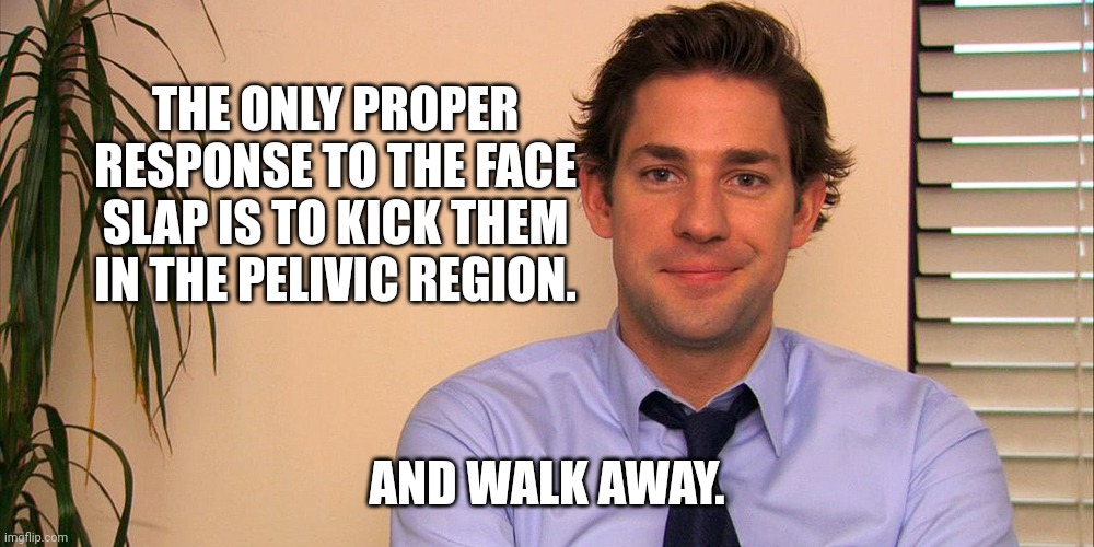Jim Halpert | THE ONLY PROPER RESPONSE TO THE FACE SLAP IS TO KICK THEM IN THE PELIVIC REGION. AND WALK AWAY. | image tagged in jim halpert | made w/ Imgflip meme maker