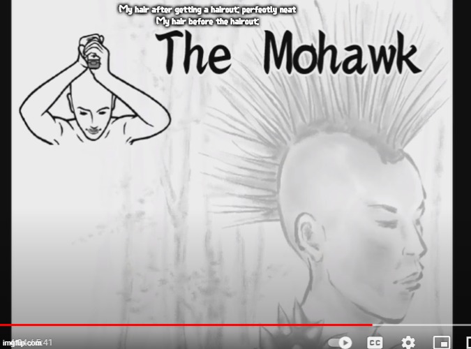 ngl this is actually what its like | My hair after getting a haircut: perfectly neat
My hair before the haircut: | image tagged in the mohawk | made w/ Imgflip meme maker