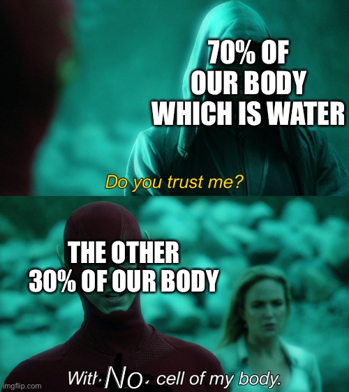 Do you trust me? | 70% OF OUR BODY WHICH IS WATER No THE OTHER 30% OF OUR BODY | image tagged in do you trust me | made w/ Imgflip meme maker