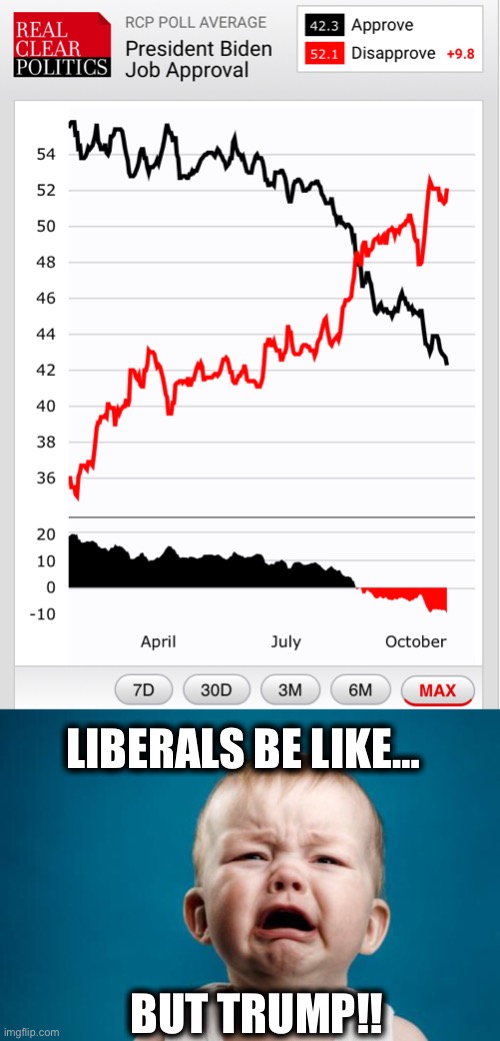 Joe Biden approval rating | LIBERALS BE LIKE…; BUT TRUMP!! | image tagged in crybaby,liberal logic,joe biden,donald trump,approval,memes | made w/ Imgflip meme maker