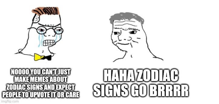 Zodiac signs | NOOOO YOU CAN'T JUST MAKE MEMES ABOUT ZODIAC SIGNS AND EXPECT PEOPLE TO UPVOTE IT OR CARE; HAHA ZODIAC SIGNS GO BRRRR | image tagged in nooo haha go brrr | made w/ Imgflip meme maker
