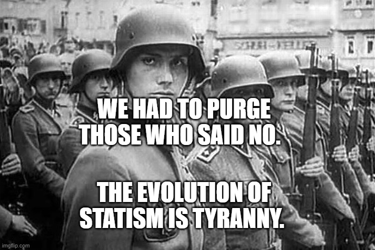 Grammar Nazi rank & file | WE HAD TO PURGE THOSE WHO SAID NO. THE EVOLUTION OF STATISM IS TYRANNY. | image tagged in grammar nazi rank file | made w/ Imgflip meme maker