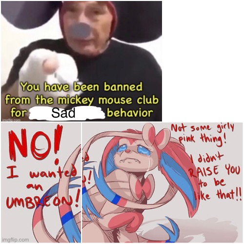 Oh My God! SLYVEON NO IM SORRY I MUST BE AN UMBREON- | image tagged in pokemon,sad,eevee | made w/ Imgflip meme maker