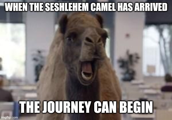 Hump Day Camel | WHEN THE SESHLEHEM CAMEL HAS ARRIVED; THE JOURNEY CAN BEGIN | image tagged in hump day camel,memes,sesh,seshlehem | made w/ Imgflip meme maker