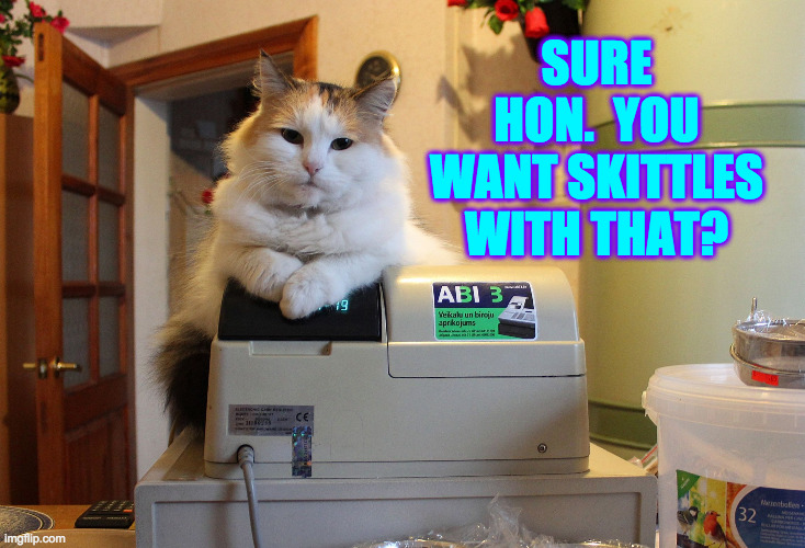 cat cashier | SURE HON.  YOU WANT SKITTLES WITH THAT? | image tagged in cat cashier | made w/ Imgflip meme maker