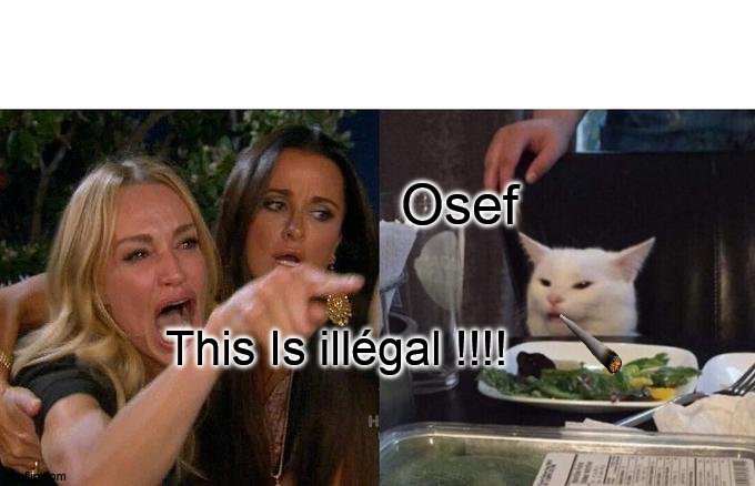 osef | Osef; This Is illégal !!!! | image tagged in memes,woman yelling at cat | made w/ Imgflip meme maker