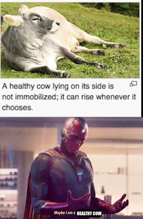 HEALTHY COW | image tagged in maybe i am a monster blank | made w/ Imgflip meme maker