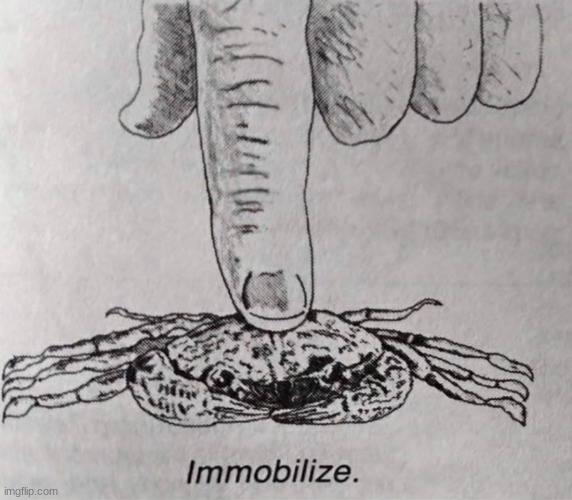 SPUNCH BOI ME BOB I HAVE BEEN IMMOBILIZED BY A FINGER AND PUT INTO A BOOK ARG ARG ARG ARG | made w/ Imgflip meme maker