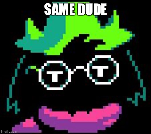 Non-Impressed Ralsei | SAME DUDE | image tagged in non-impressed ralsei | made w/ Imgflip meme maker