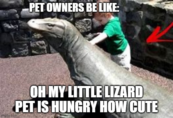 PET OWNERS BE LIKE:; OH MY LITTLE LIZARD PET IS HUNGRY HOW CUTE | image tagged in pets | made w/ Imgflip meme maker