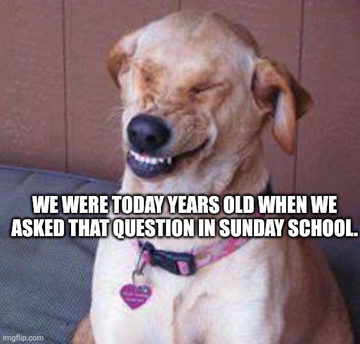 funny dog | WE WERE TODAY YEARS OLD WHEN WE ASKED THAT QUESTION IN SUNDAY SCHOOL. | image tagged in funny dog | made w/ Imgflip meme maker