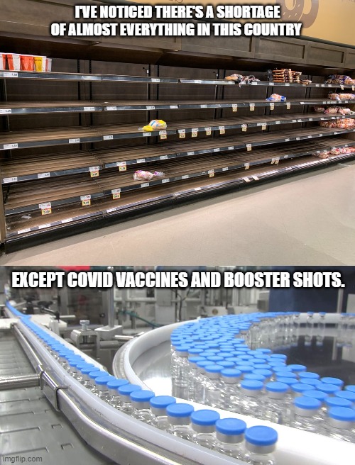 I've noticed there's a shortage of almost everything in this country except COVID vaccines and booster shots. | I'VE NOTICED THERE'S A SHORTAGE OF ALMOST EVERYTHING IN THIS COUNTRY; EXCEPT COVID VACCINES AND BOOSTER SHOTS. | image tagged in vaccines,vaccine,empty shelves,joe biden | made w/ Imgflip meme maker