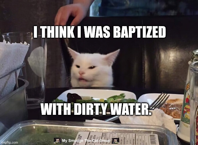 I THINK I WAS BAPTIZED; WITH DIRTY WATER. | image tagged in smudge the cat | made w/ Imgflip meme maker