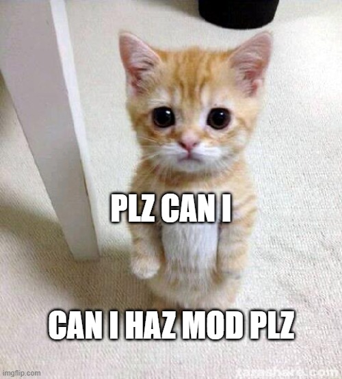 . | PLZ CAN I; CAN I HAZ MOD PLZ | image tagged in memes,cute cat | made w/ Imgflip meme maker